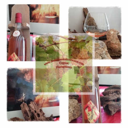 Flamgnanco Petite Champagne Domaine des tonneaux Cognac